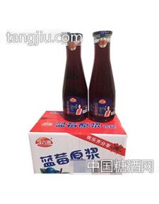 金六源蓝莓原浆果汁饮料 招商启航，共创健康饮品新蓝海